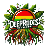 DeepRoots Network