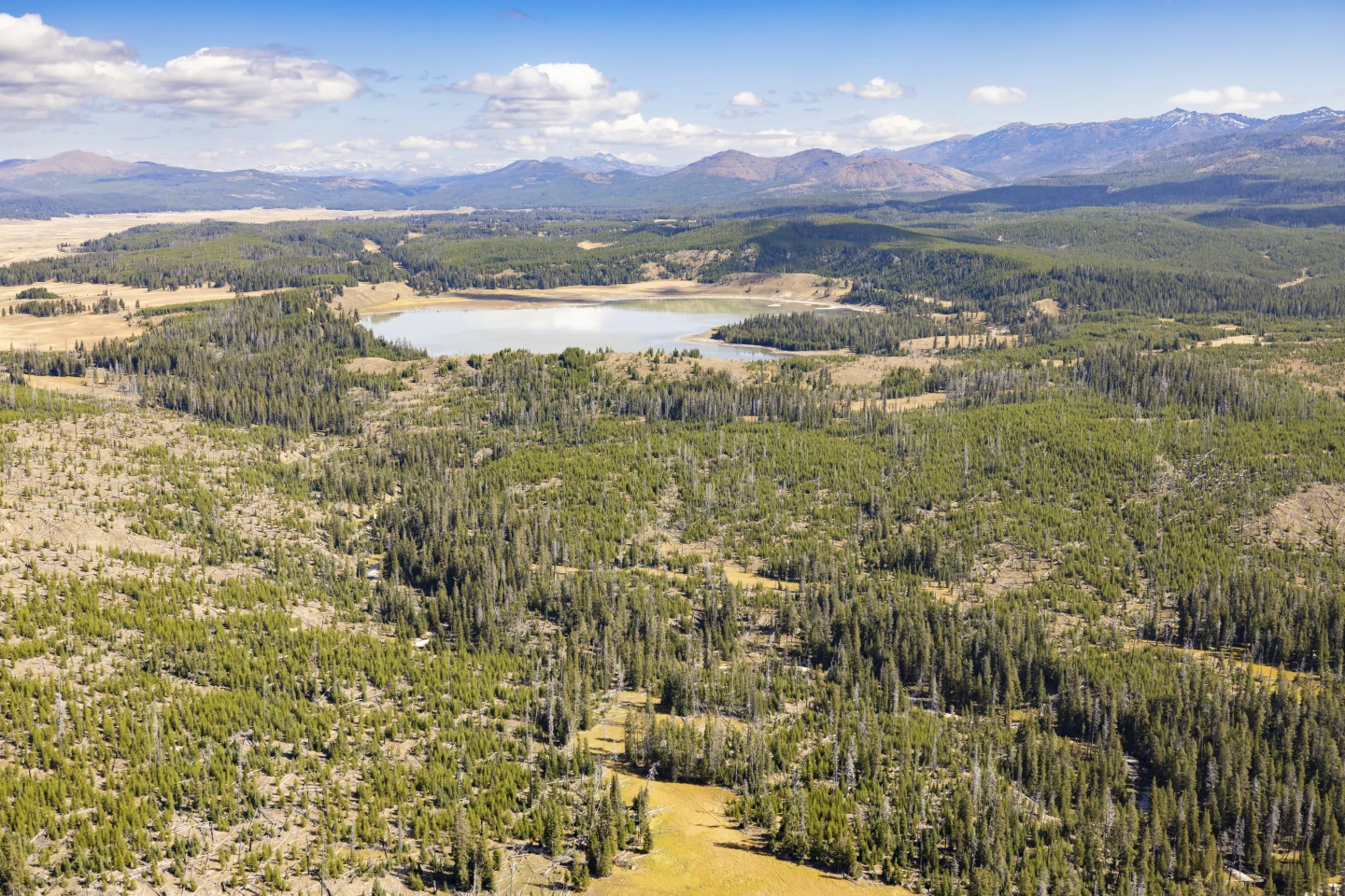 Former Park Officials Urge Closure of National Parks During Potential Government Shutdown