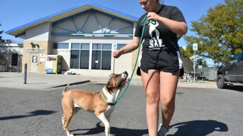 Smoke Incident at Montana Animal Shelter: Staff Hospitalized After FBI Drug Burn