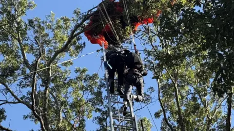 Tragic Incident at Nashville Skydiving Facility: Experienced Instructor Dies