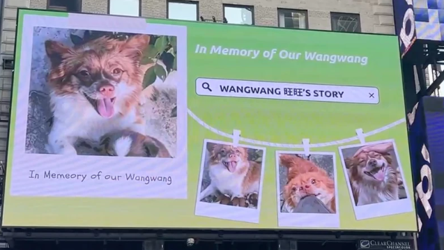 Echoes of Fury: Taiwan Ballads, New York Billboards and a Dragon’s Cry for Justice