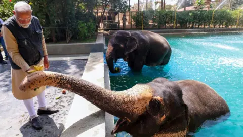 Billionaire-Owned Zoo Vantara Cleared of Animal Mistreatment Claims
