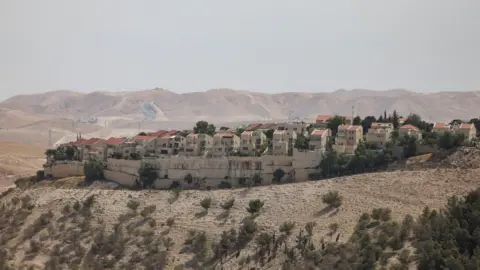 U.S. Leaders Criticize Israeli Annexation Plans