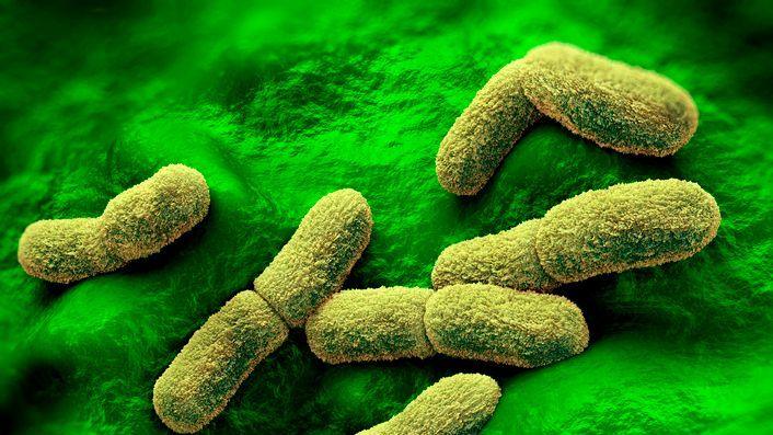 US Eyes Russian Plague Lab Death: Indigenous Communities demand transparency