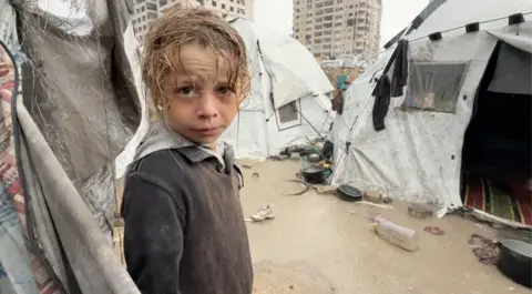 Urgent Plea for Shelter in Gaza as Winter Crisis Deepens