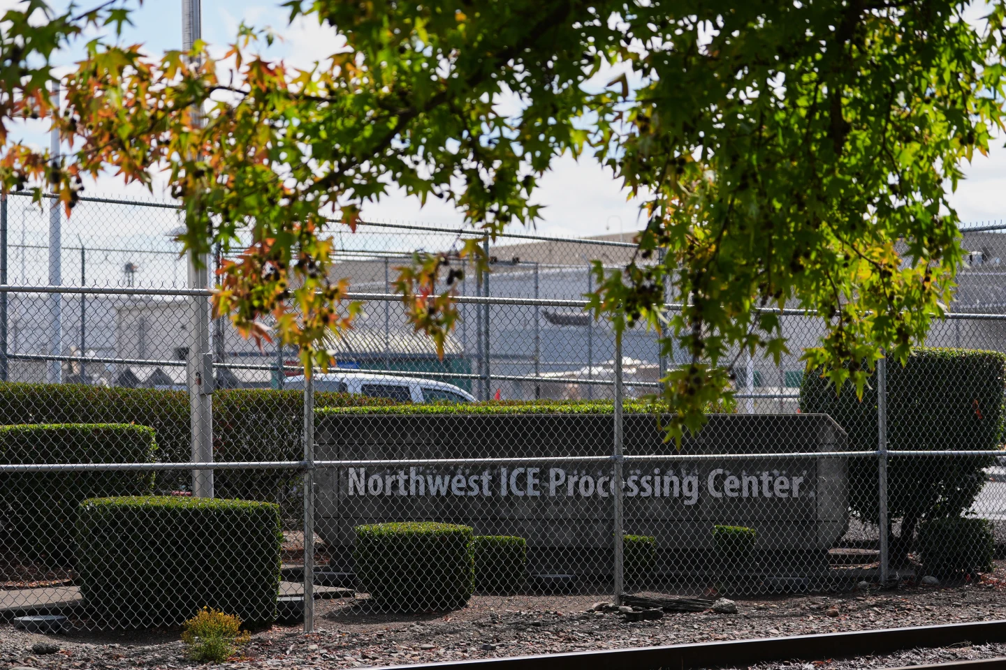 The Torn Threads of Family: The Impact of Immigration Policies on Communities