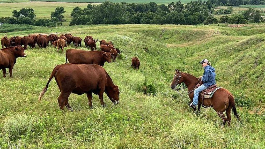 Nebraska Ranchers and Indigenous Stewards Face Rising Costs and Policy Uncertainty