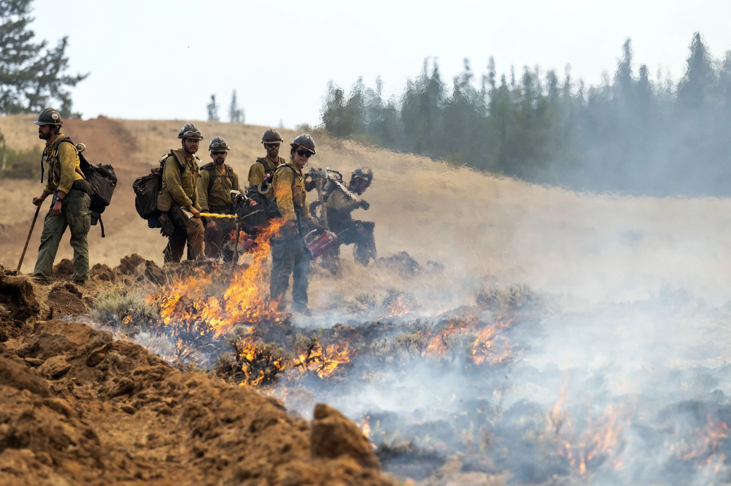 Oregon Firefighter Detained by Border Patrol While Fighting Wildfires