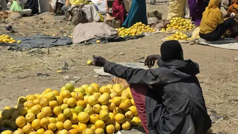 The Bitter Paradox of Jebel Marra: Abundance Amidst Desperation
