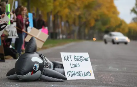 Urgent Call to Save 30 Belugas: Marineland's Dilemma