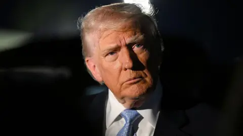 Trump's Severe Accusations Against Democratic Lawmakers Raise National Security Concerns