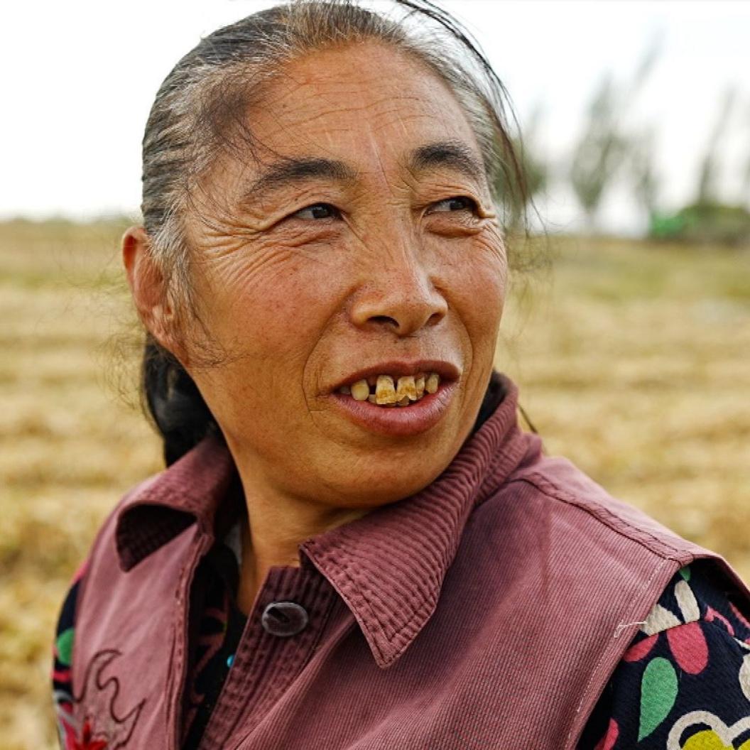 Data Centres on the Grasslands: A New Frontier Beside Traditional Farming in Inner Mongolia