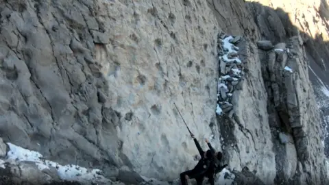 Ancient Footprints Unveiled: A Dinosaur Discovery in Italy's Stelvio National Park