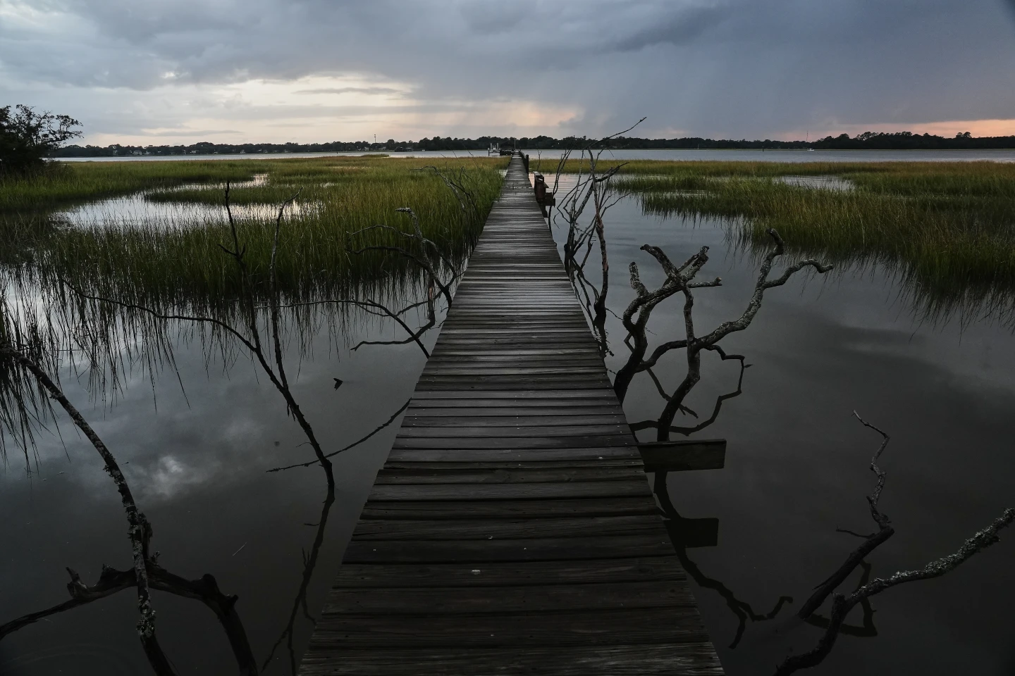 New Waters of the US Rule: Impact on Wetlands and Water Protection