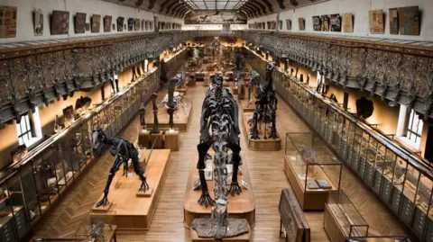 Gold Heist: Woman Arrested After $1.75 Million Theft from Paris Museum