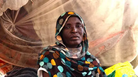 Unity in Action Against Atrocities: UN Launches Investigation into Sudan Mass Killings