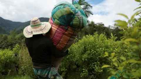 US Critiques Colombia's Drug Control Efforts Amid Rising Cocaine Production